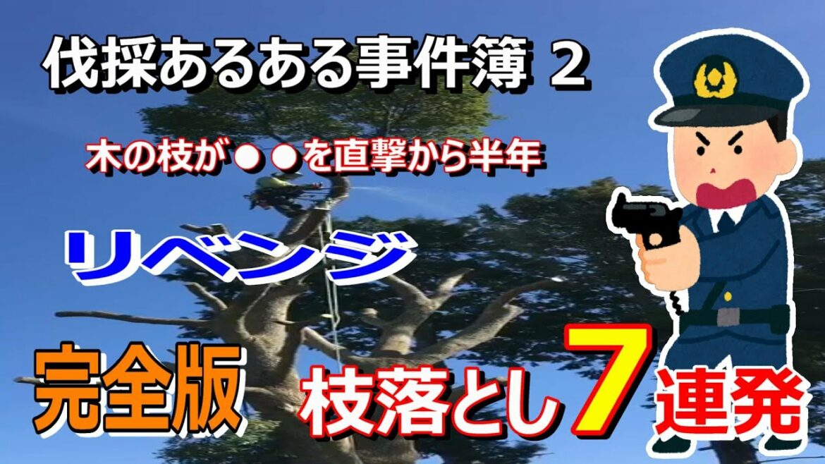☆極秘衝撃映像☆木の枝が●●を直撃事件の真相に迫る‼