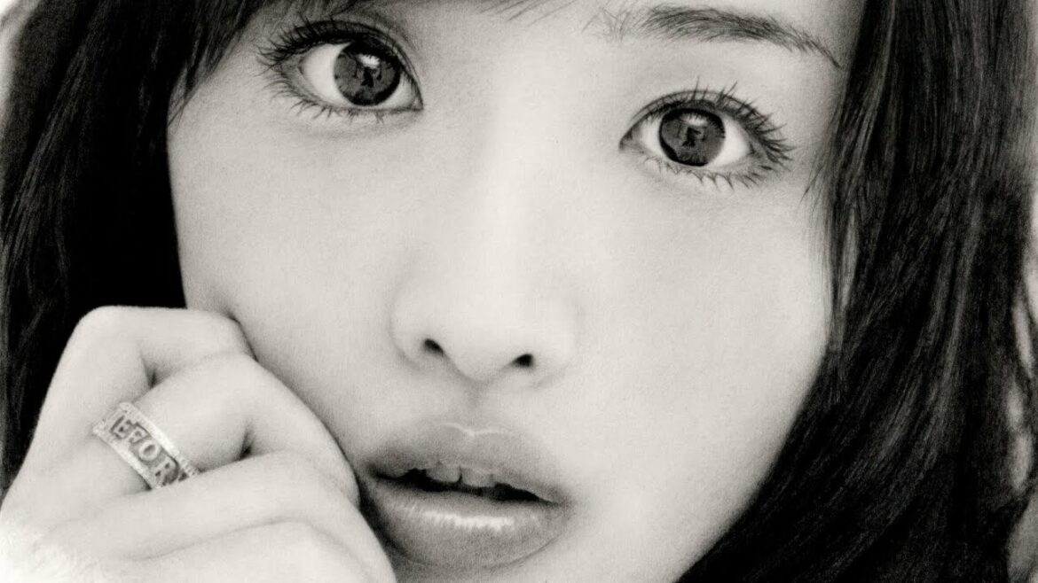 鉛筆画 石原さとみ 完成までの一部始終 動画 早送り / Pencil drawing/ Satomi Ishihara/ Portrait/ How To Draw