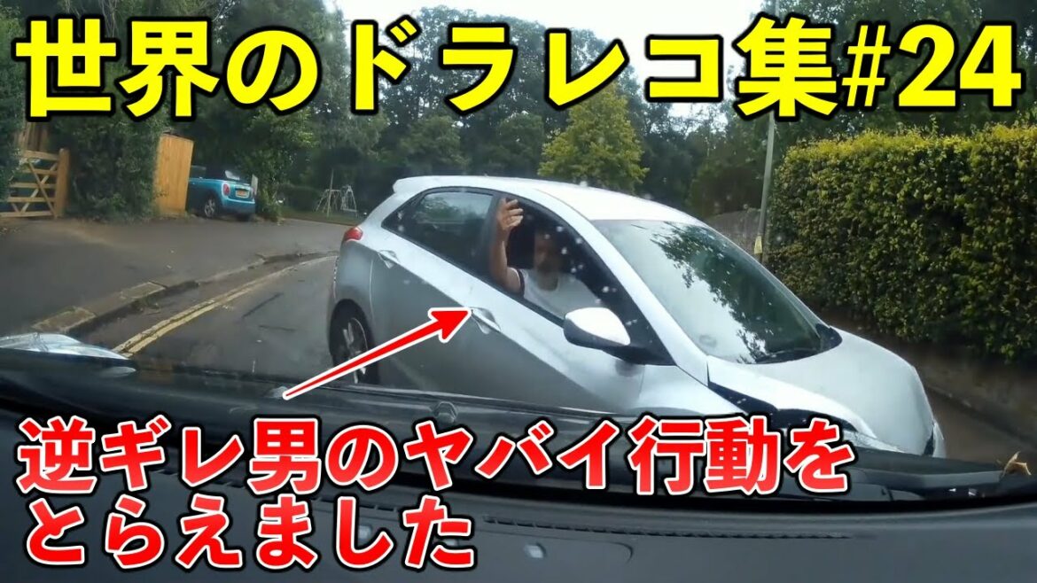 【ドラレコ衝撃映像】世界の事故,煽り運転, 危険運転 まとめ | Idiots In Cars #24
