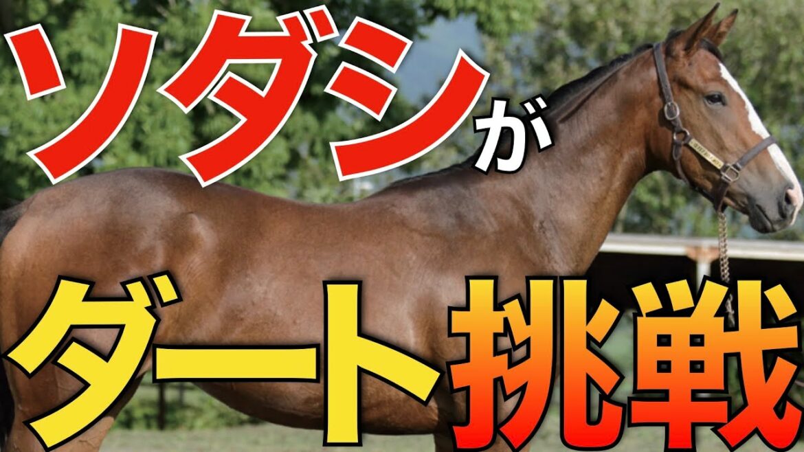 【合いそう】白毛の怪物ソダシはチャンピオンズCへ!今から海外挑戦も期待してしまう。【競馬】 【合いそう】白毛の怪物ソダシはチャンピオンズCへ!今から海外挑戦も期待してしまう。【競馬】