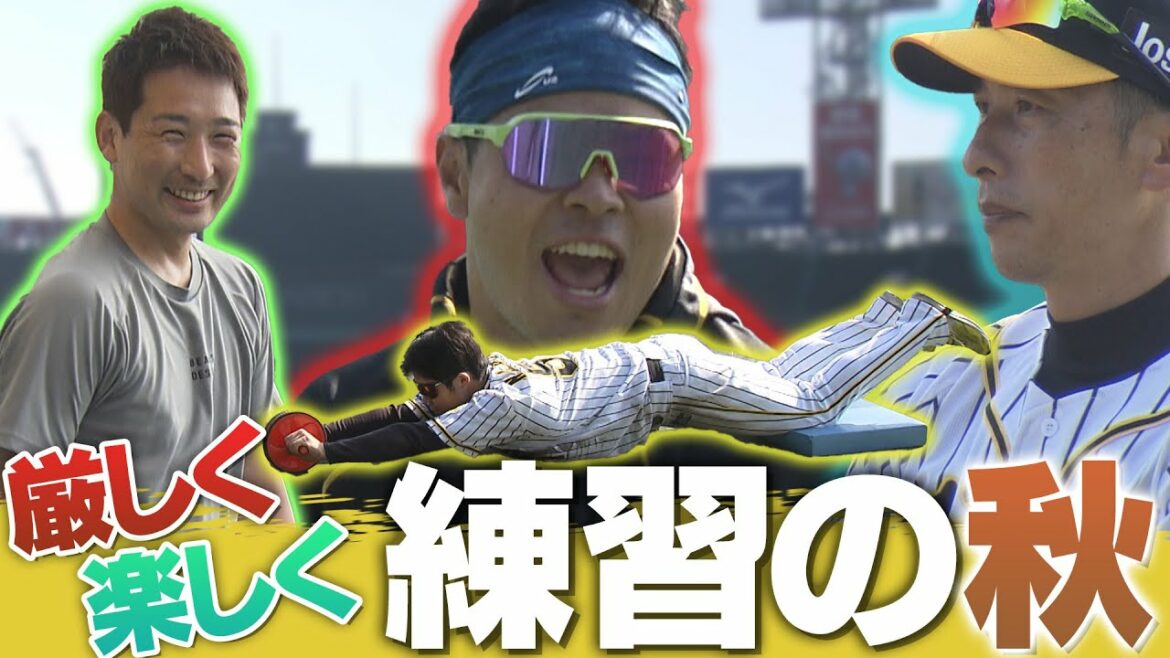 【響く悲鳴!?】大山 佐藤輝 中野 木浪 植田 など秋晴れ甲子園で秋季練習！岩崎の足がブルブルに…。原口は外野守備！阪神タイガース密着！応援番組「虎バン」ABCテレビ公式チャンネル