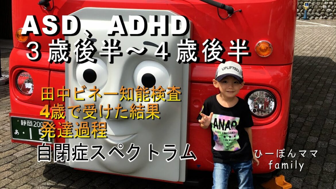 普通学級に通う自閉症スペクトラム/ASD.ADHD/田中ビネー知能検査結果/多動症/切り替えが苦手な子#3
