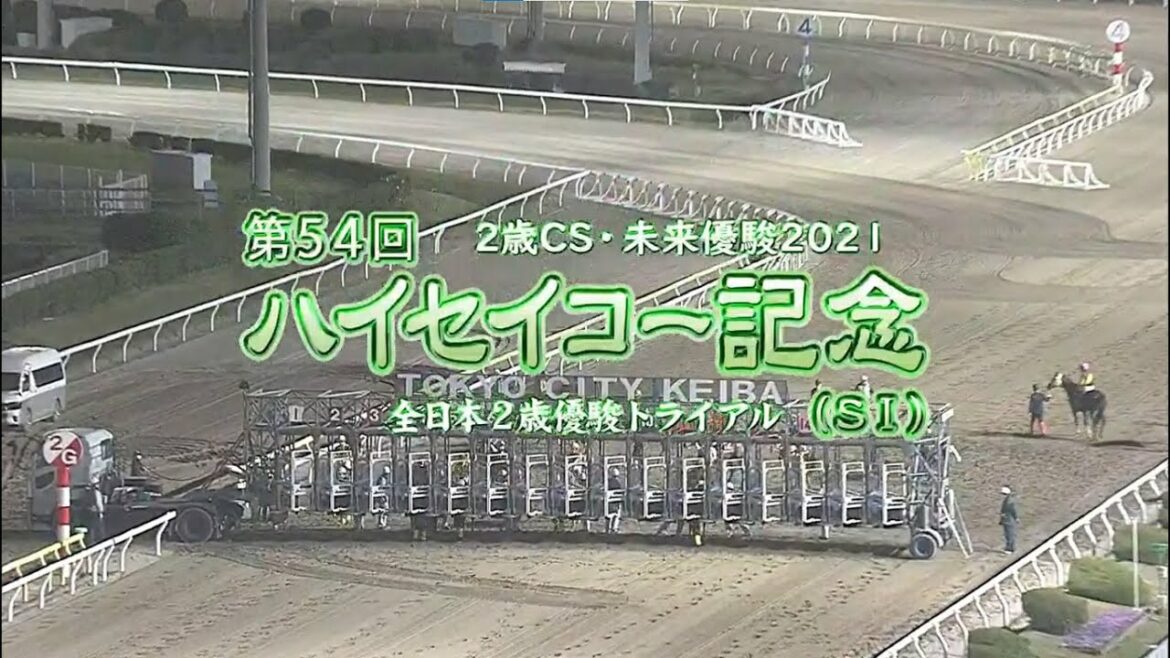ハイセイコー記念 2021 結果