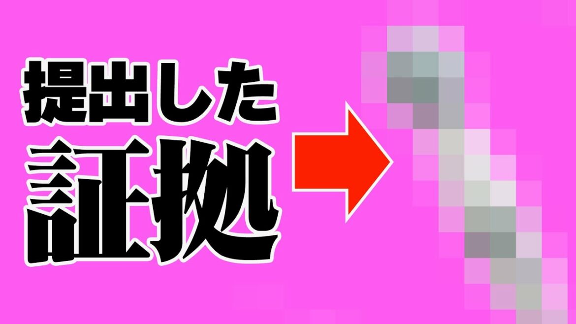 【熊田曜子 夫】裁判所が凍り付いた信じられない証拠に秘められた真の狙いとは！？弁護士解説