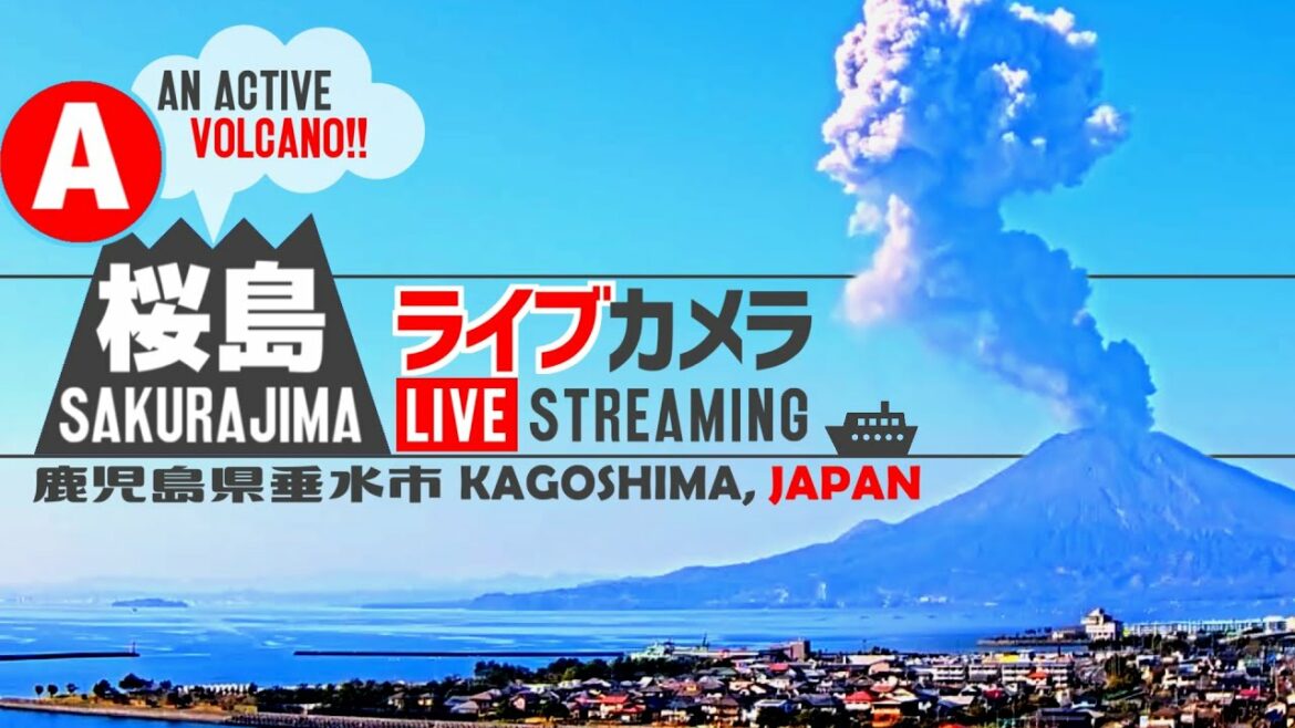 【LIVE】 桜島 ライブカメラ A 鹿児島県 垂水市 【遠景】 / Sakurajima, an active volcano live cam A (Distant view) JAPAN
