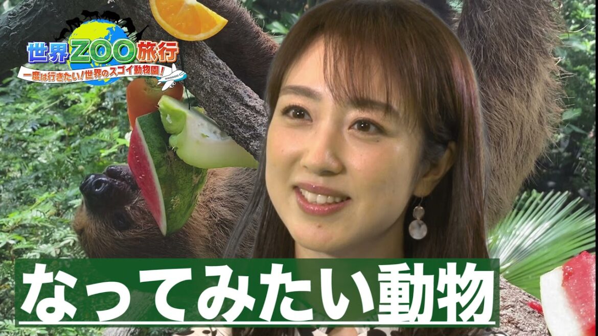 川田裕美「ナマケモノになりたい…」【世界ＺＯＯ旅行】