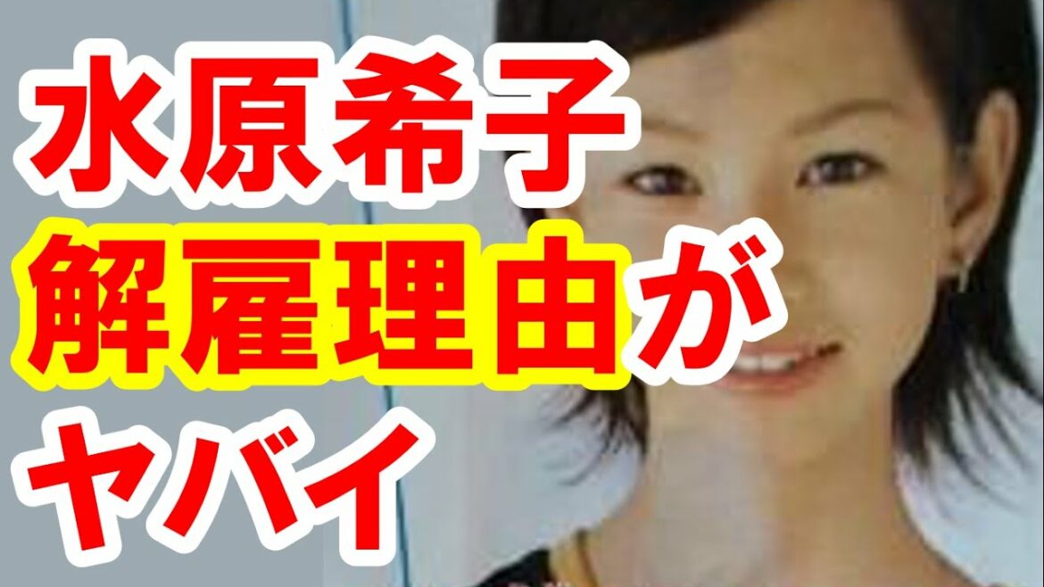 水原希子15歳でのセブンティーンモデル解雇理由が衝撃!CMや歌ったり大活躍だがまさかの・・【芸能おもクロ秘話ニュース】 水原希子15歳でのセブンティーンモデル解雇理由が衝撃!CMや歌ったり大活躍だがまさかの・・【芸能おもクロ秘話ニュース】
