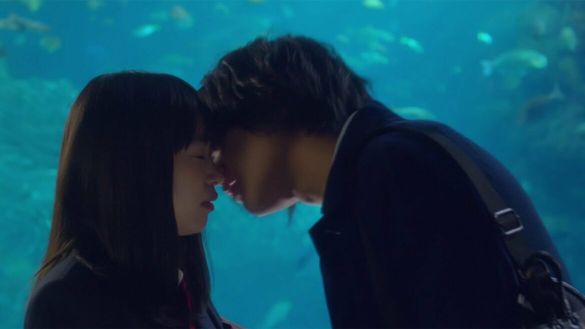 森川葵、北村匠海&佐藤寛太からハグにキス… 映画「恋と嘘」予告編 森川葵、北村匠海&佐藤寛太からハグにキス… 映画「恋と嘘」予告編