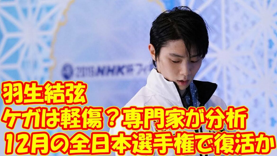 羽生結弦のケガは軽傷？　専門家が分析、12月の全日本選手権で復活か