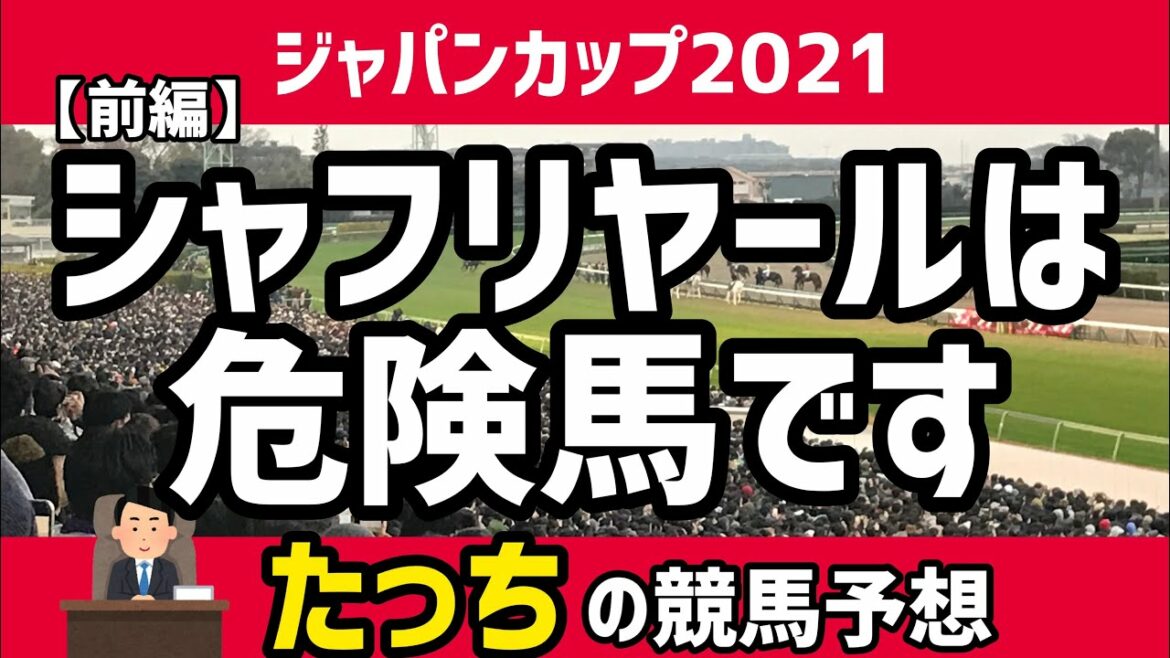 【ジャパンカップ2021】【競馬予想】前編・過去データからレース傾向を分析! 【ジャパンカップ2021】【競馬予想】前編・過去データからレース傾向を分析!