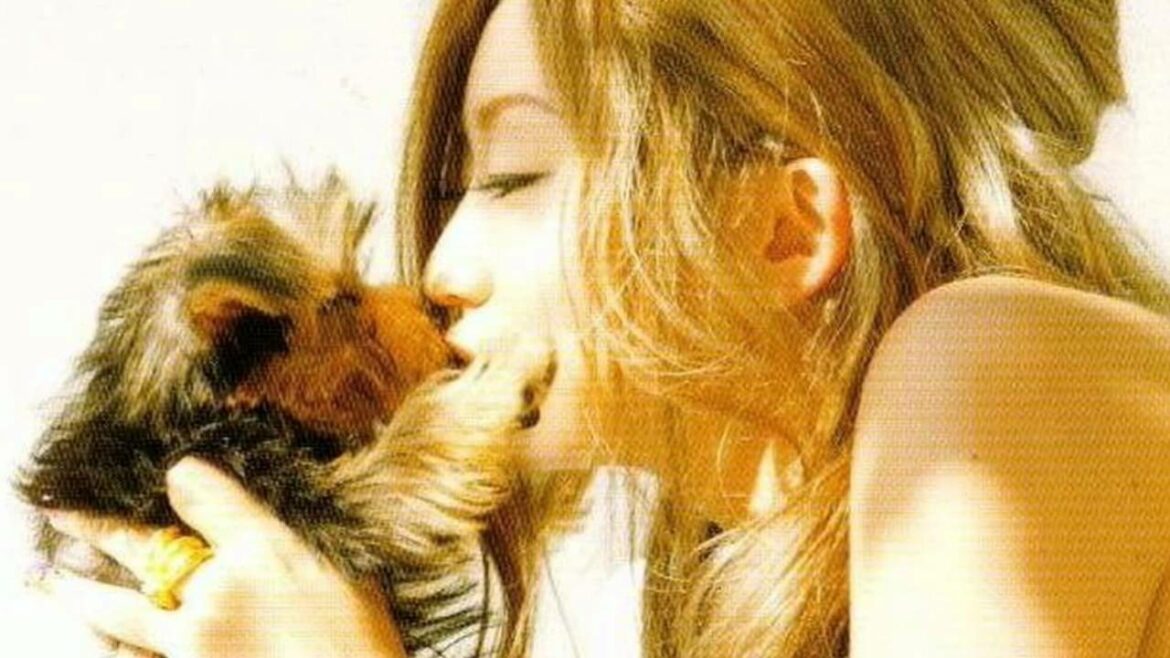 倖田來未 / secret 倖田來未 / secret