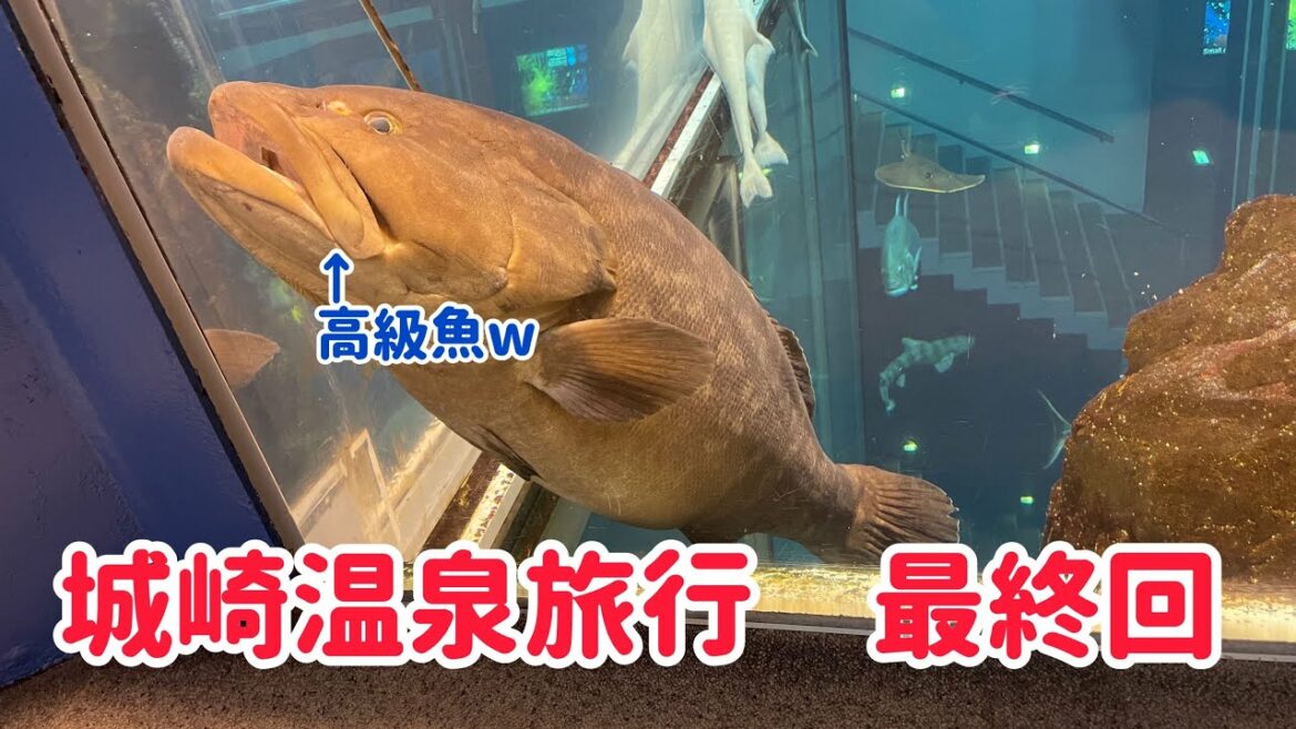 【最終話】緊急事態宣言が解除されたけど、とりあえず県内旅行から始めてみたら城崎温泉1泊2日