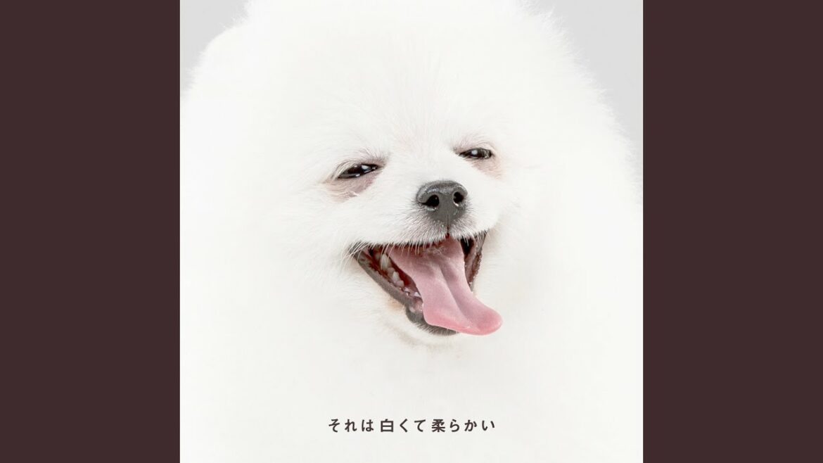 それは白くて柔らかい
