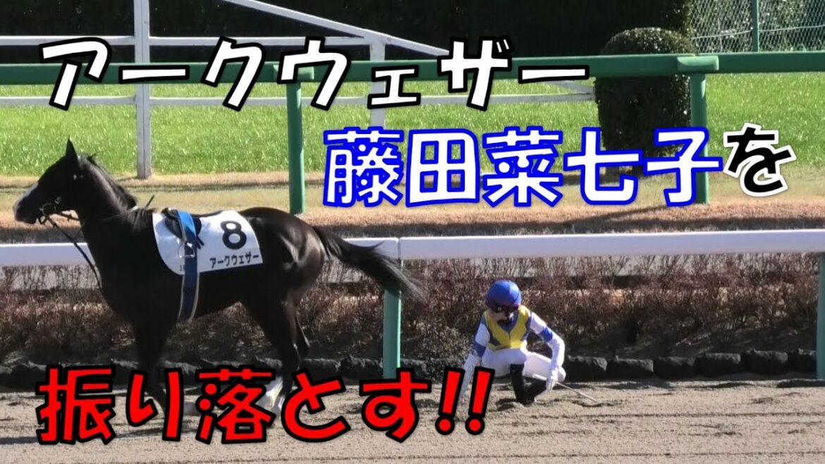 【競馬】藤田菜七子が落馬!!