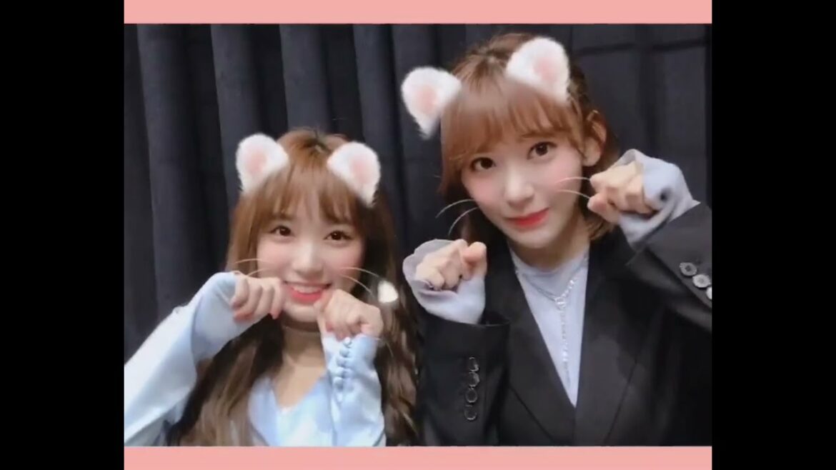 Video message from Yabuki Nako (矢吹奈子) & Miyawaki Sakura (宮脇咲良) of IZ*ONE (아이즈원) / HKT48 (2018.11.25)