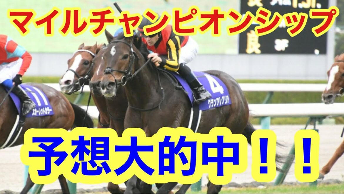 【競馬予想結果】マイルCS予想結果発表！馬単、3連単ダブル的中！？【マイルCS】