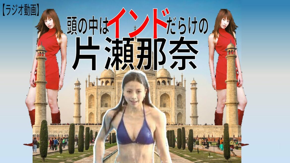 片瀬那奈の薬物疑惑 片瀬那奈の薬物疑惑