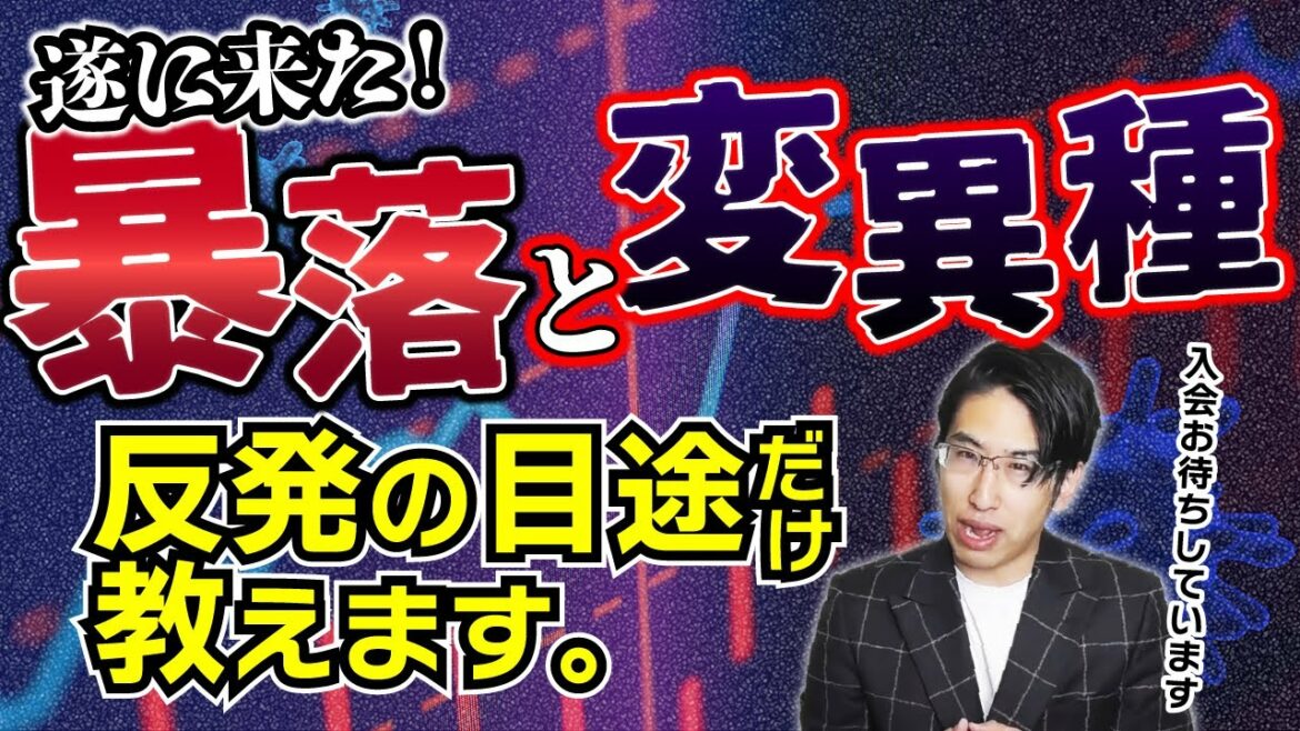 【世界株安】遂に来た暴落相場！打診買いをした。プットを返済した。日経平均株価に対しての投資目線と反発の目途！新型コロナウィルスの変異種はまだ不確実性が強い。