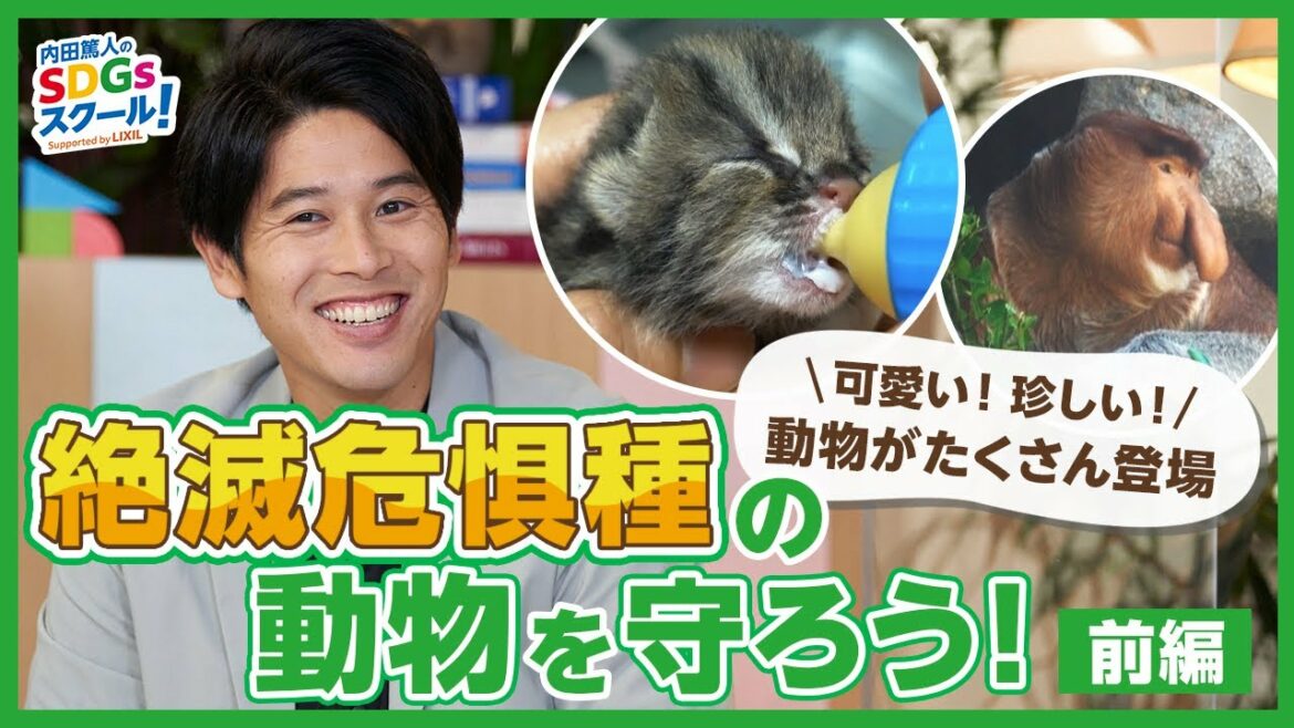 18限目 絶滅危惧種の動物たちを知ろう！『内田篤人のSDGsスクール！』