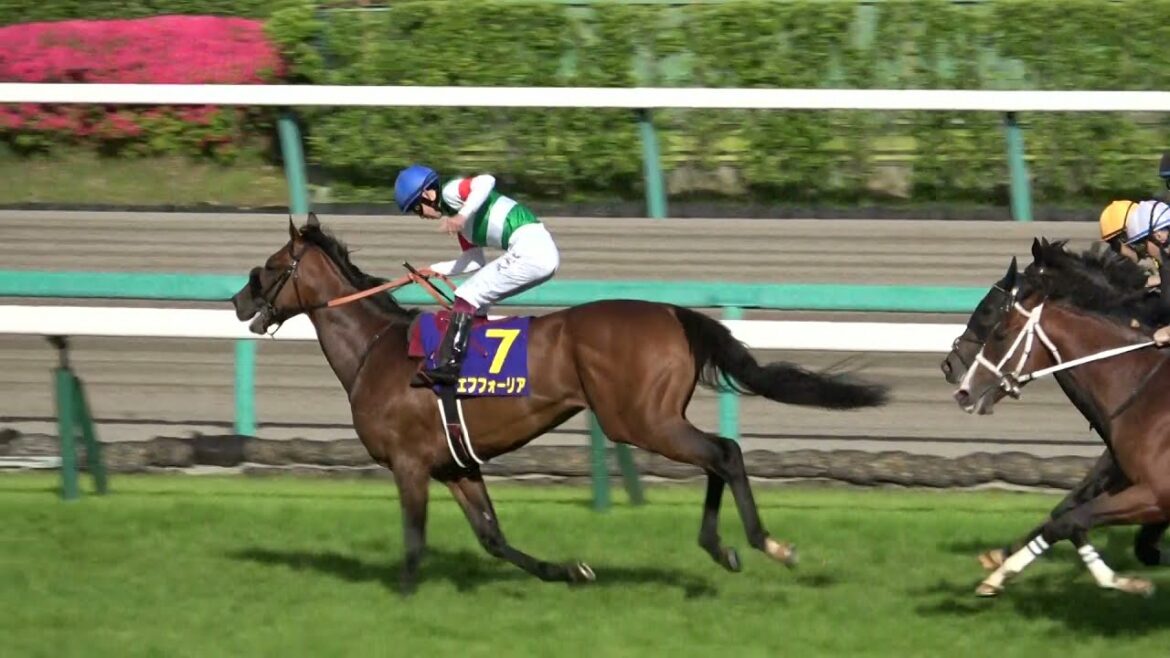 2021 第81回皐月賞GⅠ  初G1制覇 横山武史 いろいろてんこ盛りウィニングラン 現地映像 エフフォーリア