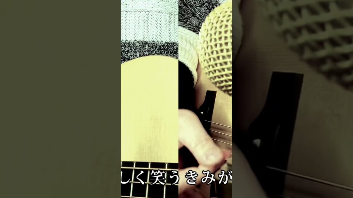 虹/二宮和也（カバー）