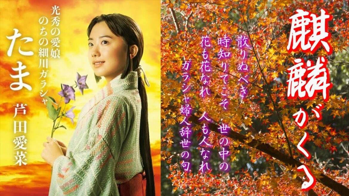 麒麟が来る❗芦田愛菜さん12月27日より登場❗細川ガラシャ墓所 立田自然公園泰勝寺跡を紹介!