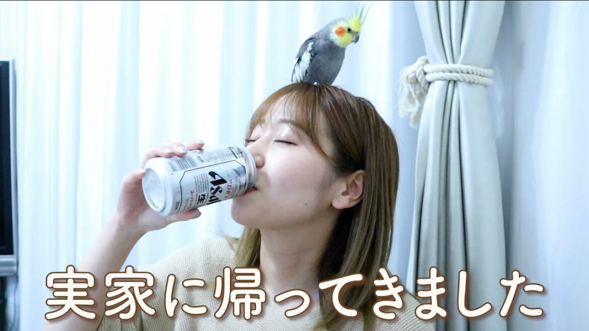 最近の近況報告含め実家でカメラ回しました〜