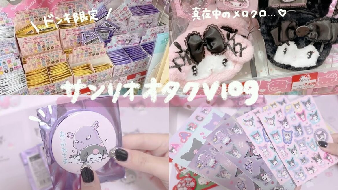 【サンリオオタクvlog】*サンリオオタクの休日 / ドンキ限定商品を紹介*