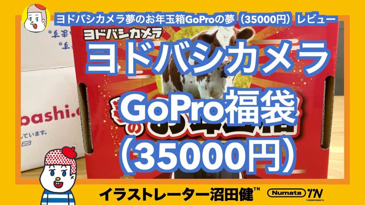 【ヨドバシカメラ福袋抽選なしでゲット！】夢のお年玉箱GoProの夢開封レビュー【福袋2021】