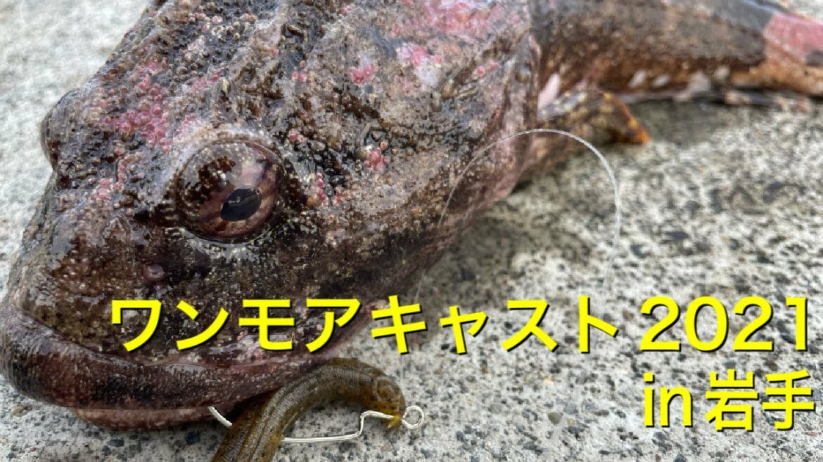 【釣り 大会 ロックフィッシュ】ワンモアキャスト2021