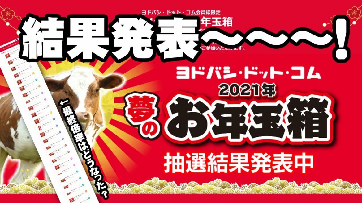 【2021福袋】とうとう運命の時！最終的に何倍になった？【ヨドバシカメラ】