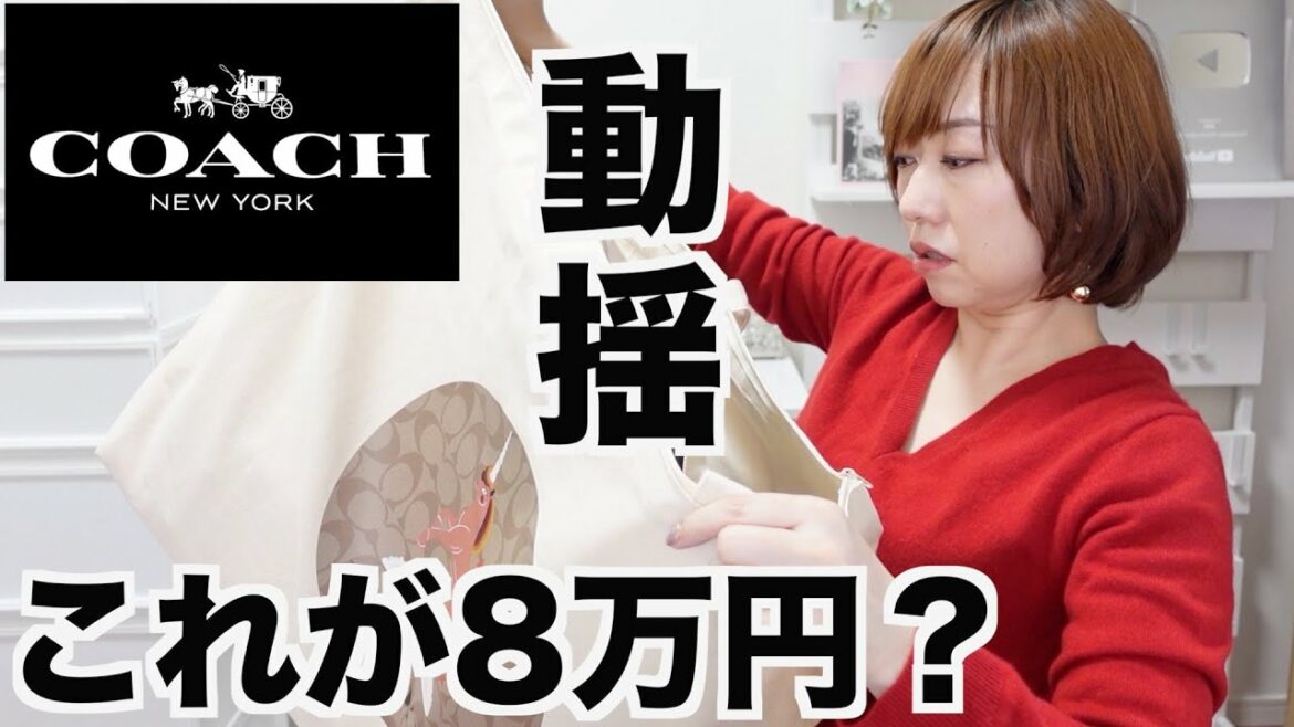 【COACH】8万円の福袋の中身に驚愕した【福袋2021】 【COACH】8万円の福袋の中身に驚愕した【福袋2021】