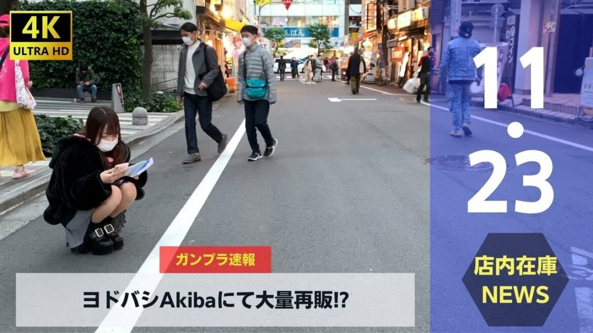 ガンプラ探索していたらヨドバシ秋葉原で大量再販に遭遇