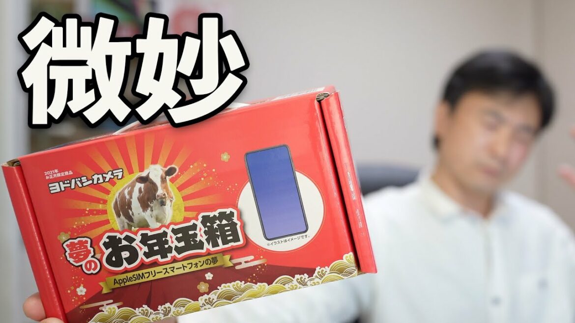 ヨドバシ夢のお年玉箱 Apple SIMフリースマートフォンの夢は幻だったのか？