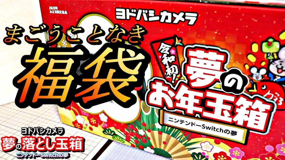 倍率50倍超？【夢のお年玉箱 ニンテンドースイッチの夢】福袋/任天堂/Switch/ヨドバシカメラ