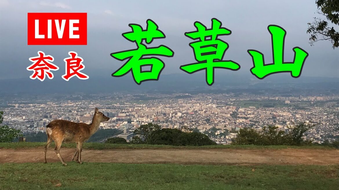 奈良 若草山ライブカメラ／Nara Wakakusa-yama LiveCam