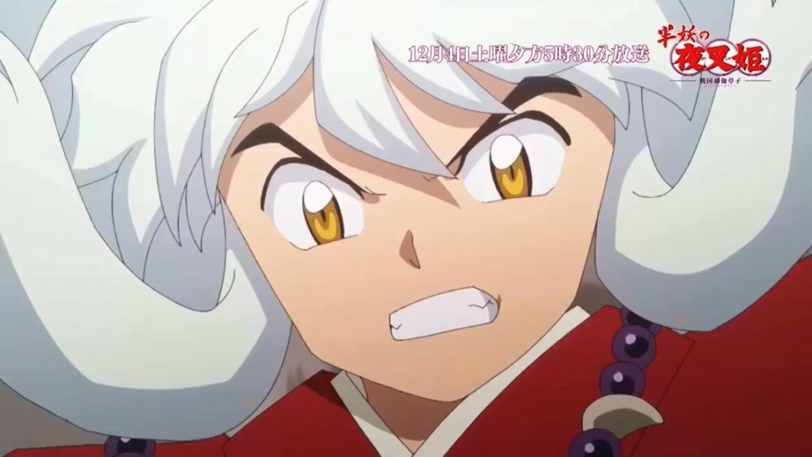 【半妖の夜叉姫】ついに犬夜叉たちが参戦！！