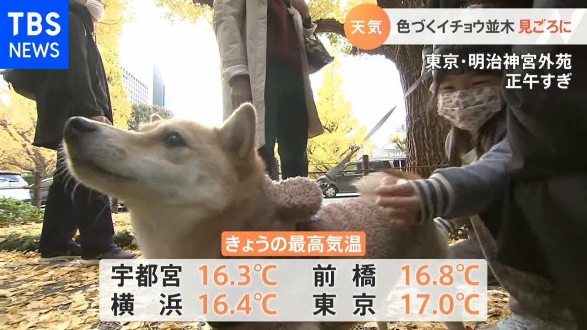 【日本のニュース速報】 - 【11月24日 関東の天気予報】寒気の影響　寒さ本格化