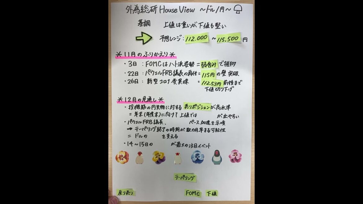 FX予想「コロナ変異株出現の影響は？」外為総研 House View ドル/円（動画版） 2021年12月