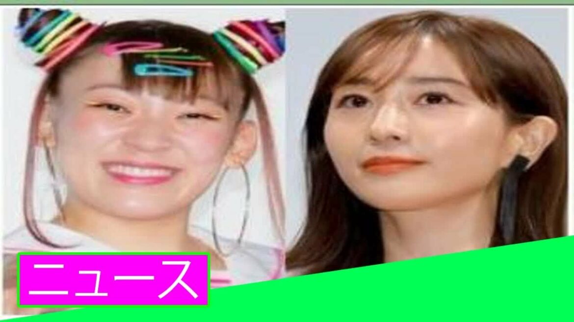 フワちゃん、田中みな実の“鼻につく言動”を指摘「ニュース」