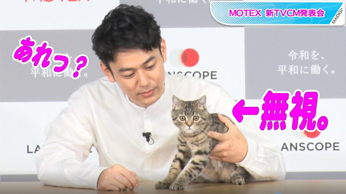 妻夫木聡、共演子猫の“塩対応”に困り顔　猫じゃらしにも無反応で「あれ？」