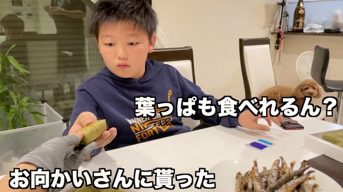 柿の葉寿司ってなに！？こころくん人生はじめての柿の葉寿司！【ココロマン普段の様子】