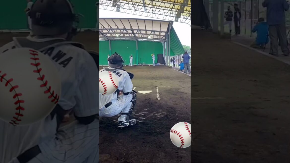 佐々木朗希ブルペン軽く投げてるのにやばいノビ⚾️