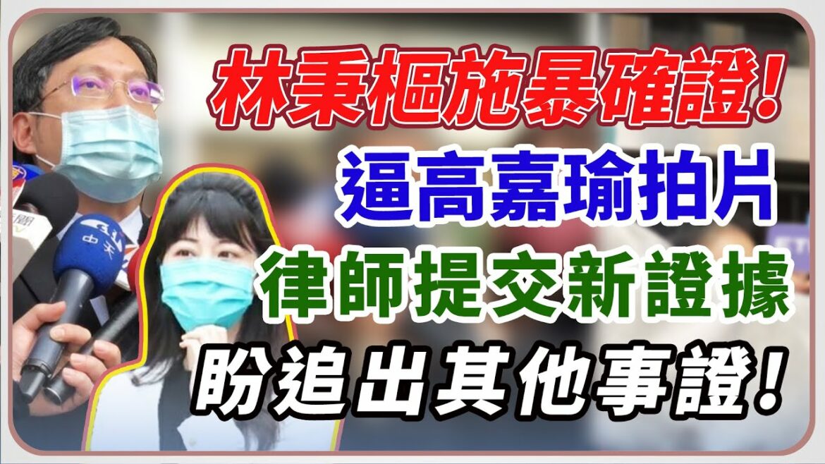 【完整版】林秉樞痛毆高嘉瑜逼拍片 律師提交新證據｜三立新聞網 SETN.com