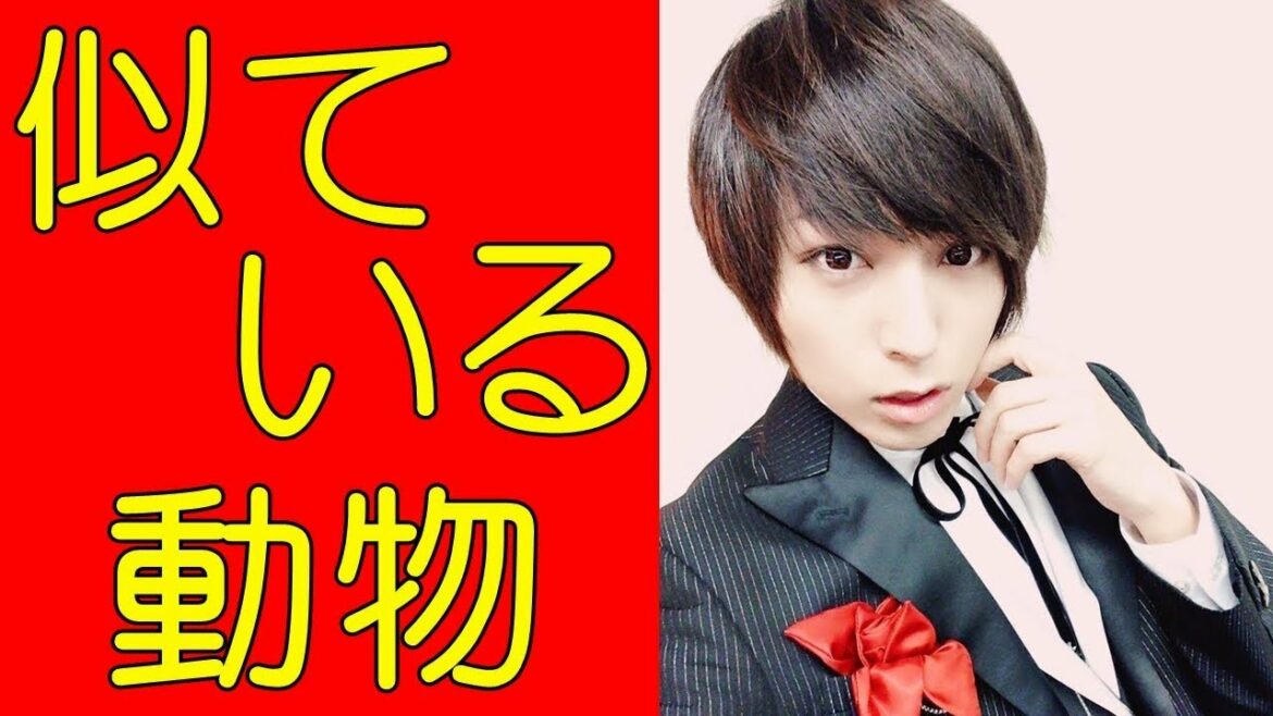 蒼井翔太 何の動物に似ている？