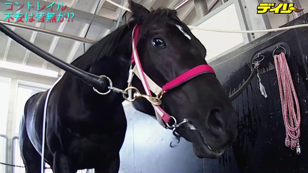 皐月賞へコントレイル動き抜群 皐月賞へコントレイル動き抜群