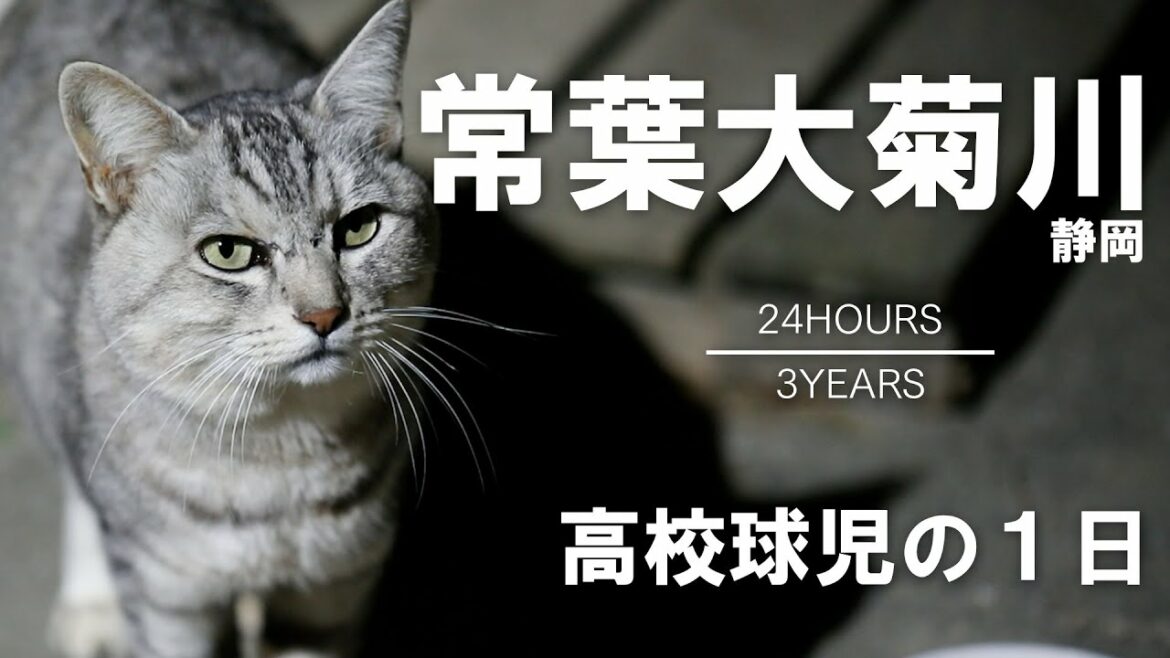 【高校球児の１日】#5 選抜優勝校に初潜入！！静岡・常葉大菊川【24HOURS／3YEARS】