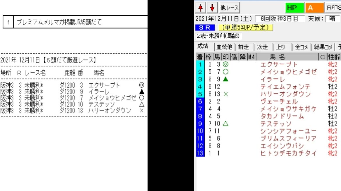 競馬予想メールマガジン配信結果 2021年12月11日 5頭BOX 1戦1勝