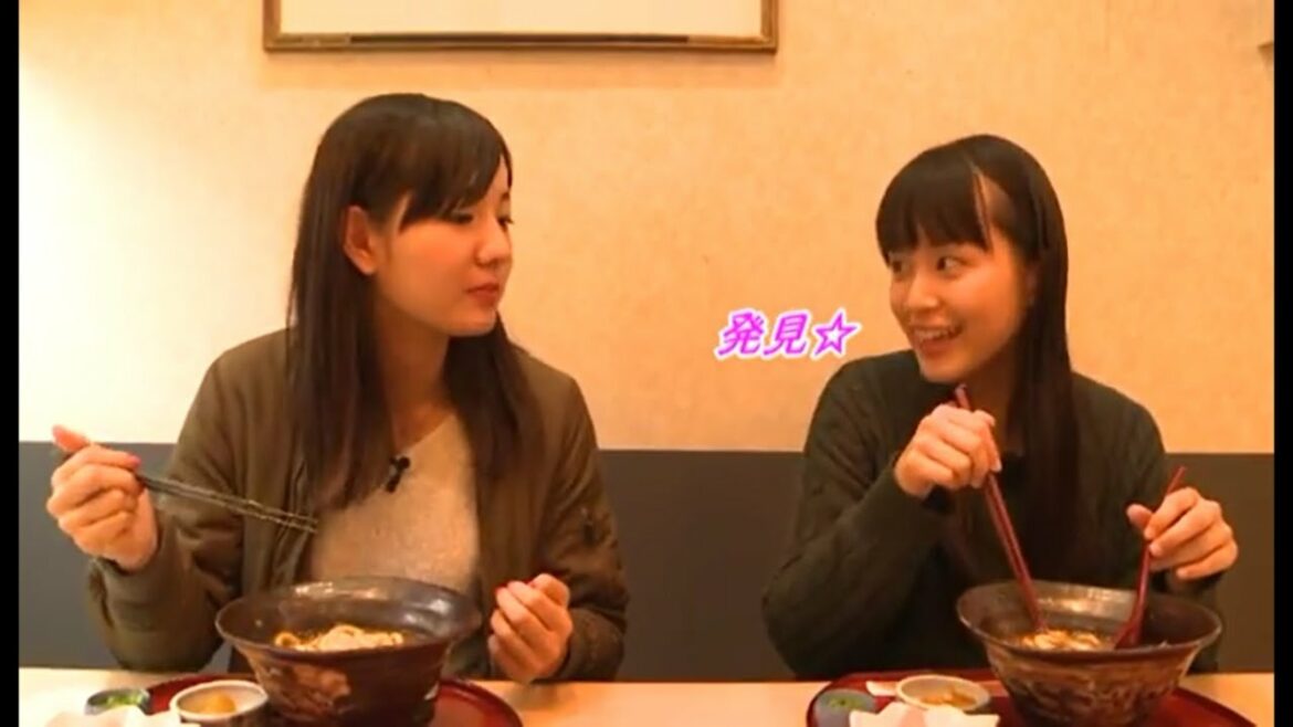 とよはしNow平成28年11月29日号　JK広報室の豊橋まちあるき 松井玲奈さんオススメスポットを巡る