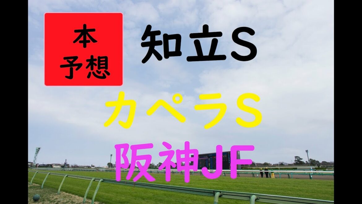 【本予想】知立S　カペラS　阪神JF